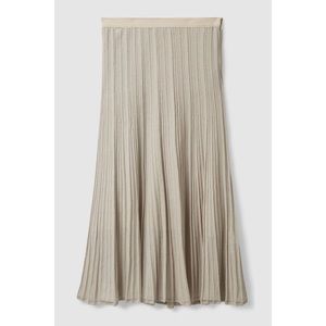 NWT COS regular fit pleated A-line skirt